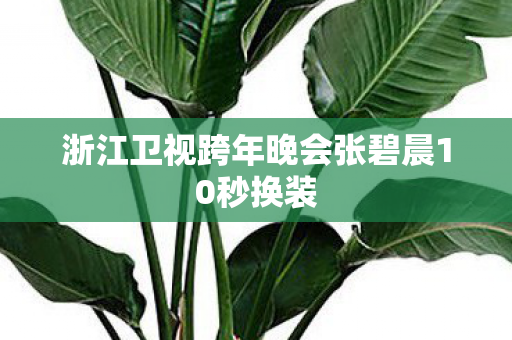 浙江卫视跨年晚会张碧晨10秒换装