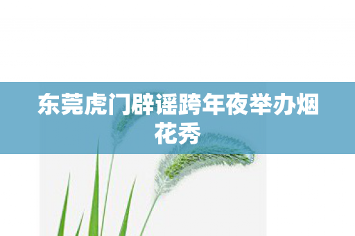 东莞虎门辟谣跨年夜举办烟花秀