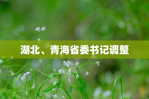 湖北、青海省委书记调整