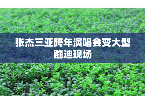 张杰三亚跨年演唱会变大型蹦迪现场