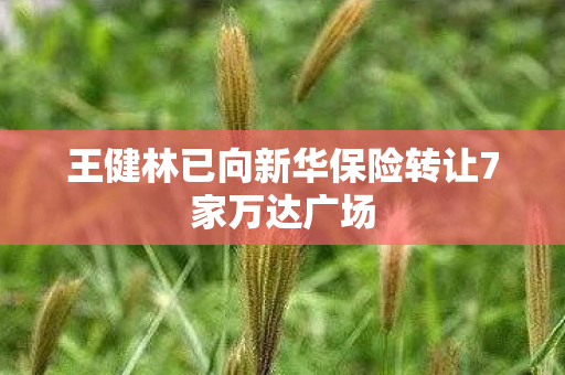 王健林已向新华保险转让7家万达广场