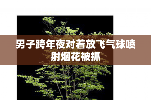 男子跨年夜对着放飞气球喷射烟花被抓