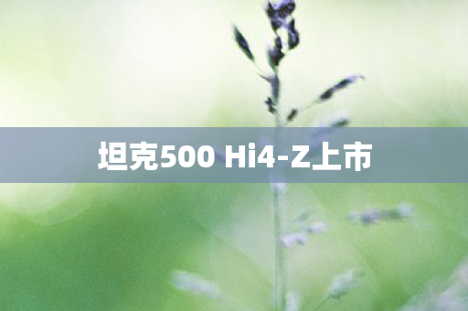 坦克500 Hi4-Z上市