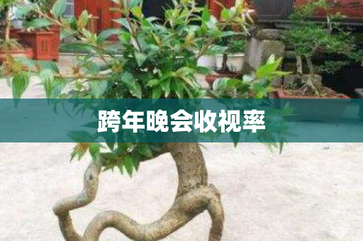 跨年晚会收视率