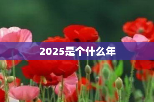 2025是个什么年