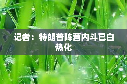 记者：特朗普阵营内斗已白热化