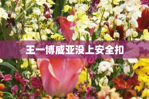 王一博威亚没上安全扣