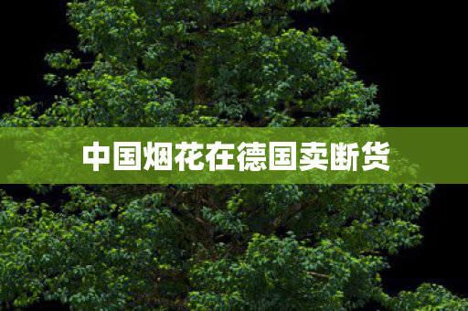 中国烟花在德国卖断货