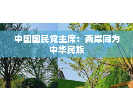 中国国民党主席：两岸同为中华民族