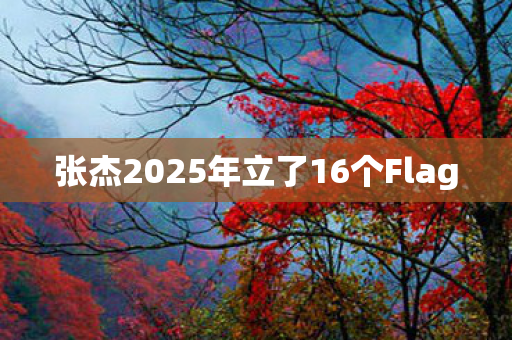 张杰2025年立了16个Flag