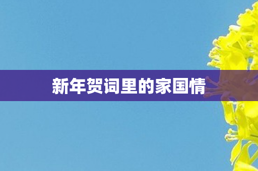 新年贺词里的家国情