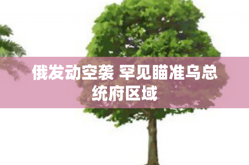 俄发动空袭 罕见瞄准乌总统府区域