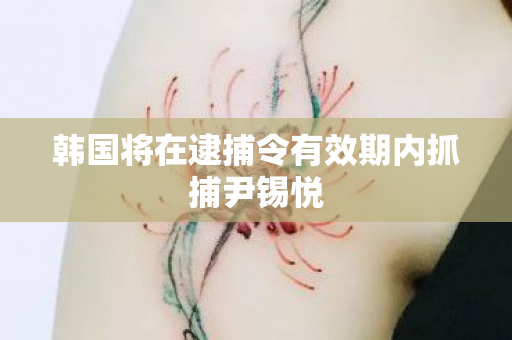 韩国将在逮捕令有效期内抓捕尹锡悦