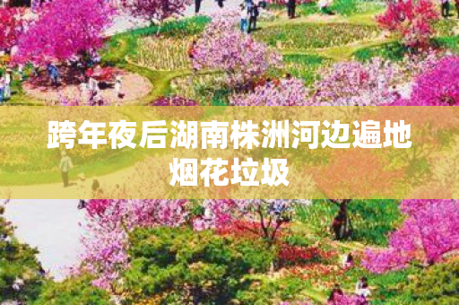 跨年夜后湖南株洲河边遍地烟花垃圾