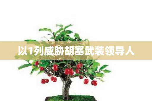 以1列威胁胡塞武装领导人