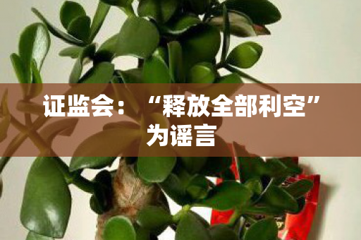 证监会：“释放全部利空”为谣言
