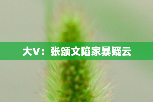 大V：张颂文陷家暴疑云
