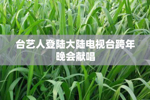 台艺人登陆大陆电视台跨年晚会献唱