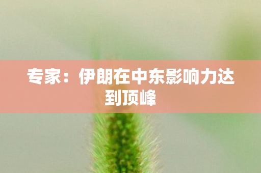 专家：伊朗在中东影响力达到顶峰