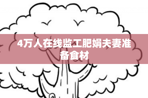 4万人在线监工肥娟夫妻准备食材