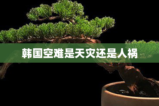 韩国空难是天灾还是人祸