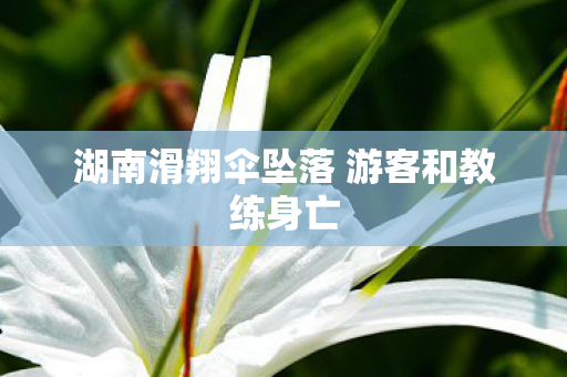 湖南滑翔伞坠落 游客和教练身亡