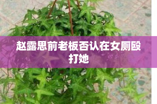 赵露思前老板否认在女厕殴打她