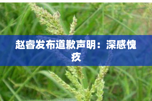 赵睿发布道歉声明：深感愧疚