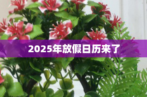 2025年放假日历来了