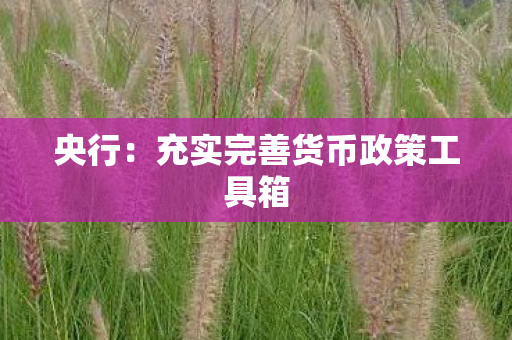 央行：充实完善货币政策工具箱