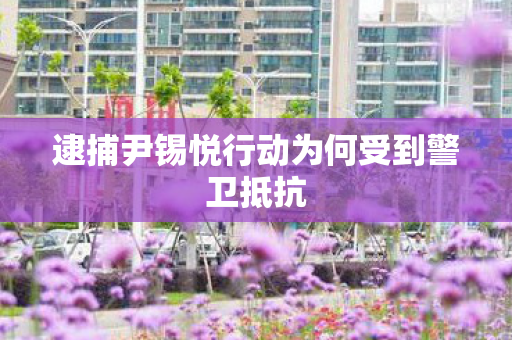 逮捕尹锡悦行动为何受到警卫抵抗