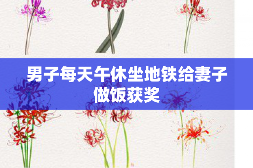 男子每天午休坐地铁给妻子做饭获奖