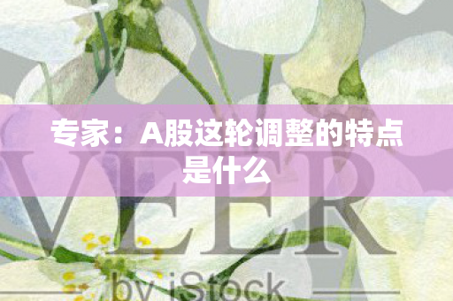 专家：A股这轮调整的特点是什么