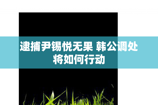 逮捕尹锡悦无果 韩公调处将如何行动