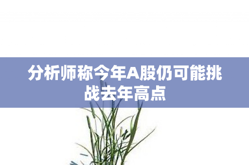 分析师称今年A股仍可能挑战去年高点