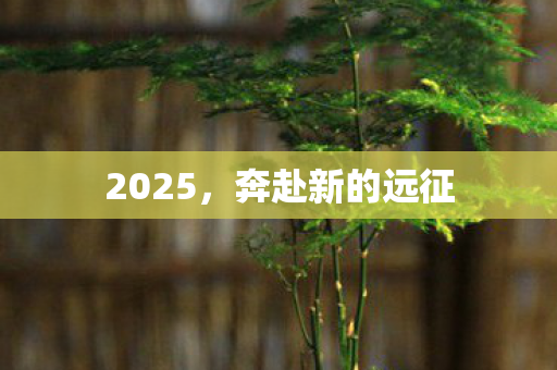 2025，奔赴新的远征