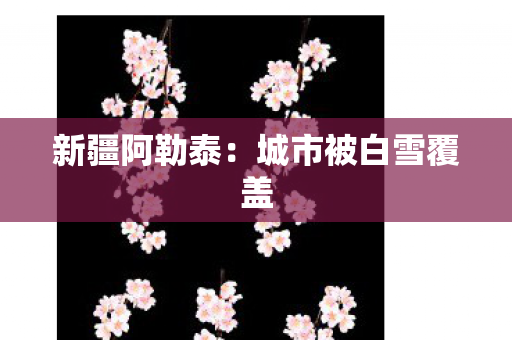 新疆阿勒泰：城市被白雪覆盖