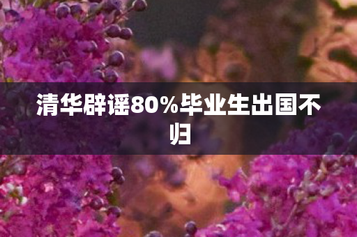 清华辟谣80%毕业生出国不归