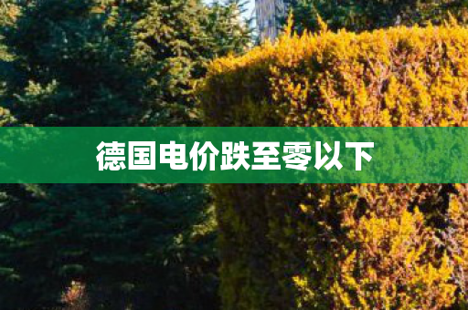 德国电价跌至零以下