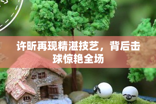 许昕再现精湛技艺，背后击球惊艳全场