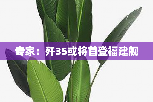 专家：歼35或将首登福建舰