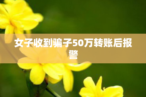女子收到骗子50万转账后报警