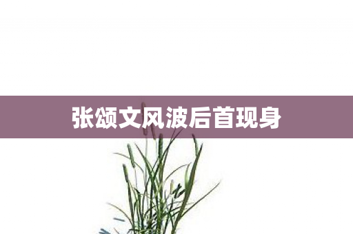 张颂文风波后首现身