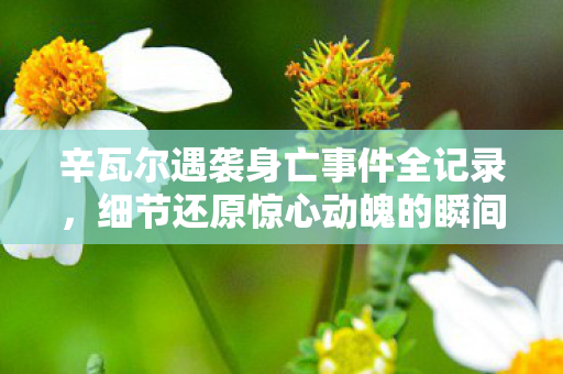 辛瓦尔遇袭身亡事件全记录，细节还原惊心动魄的瞬间