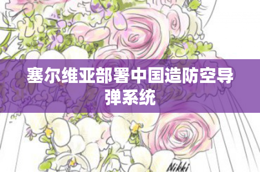 塞尔维亚部署中国造防空导弹系统
