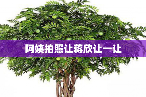 阿姨拍照让蒋欣让一让