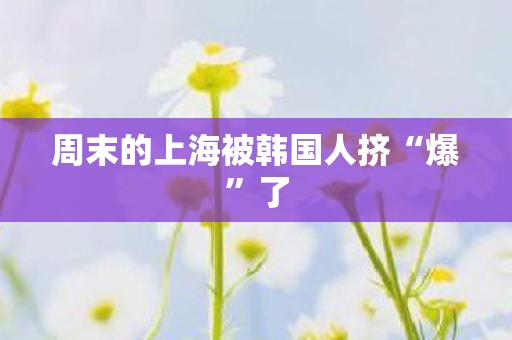 周末的上海被韩国人挤“爆”了