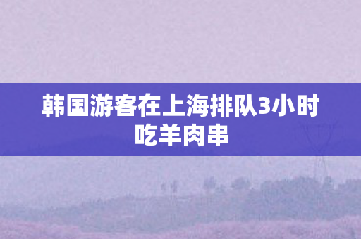 韩国游客在上海排队3小时吃羊肉串