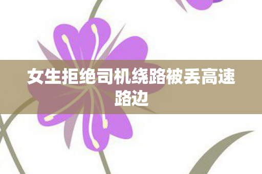 女生拒绝司机绕路被丢高速路边