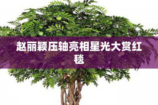赵丽颖压轴亮相星光大赏红毯